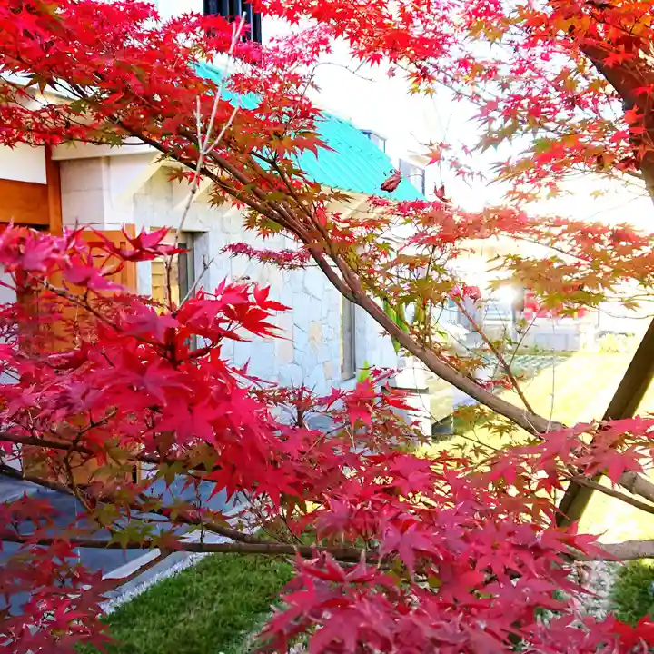 寿量山 速成寺の庭園