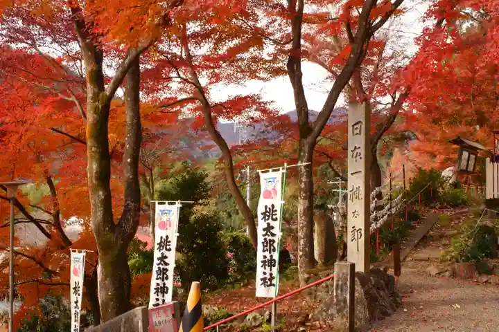桃太郎神社(栗栖)(愛知県)