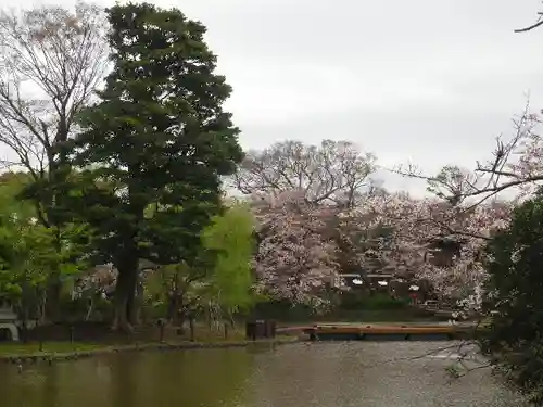 鶴岡八幡宮の庭園