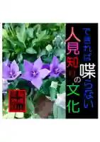 耕田院(山形県)