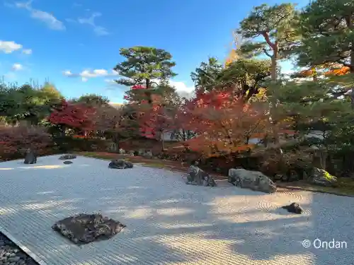 相国寺（相国承天禅寺）の庭園