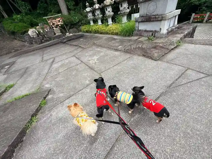 神祇大社(静岡県)