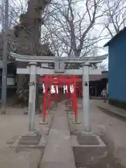 佐間天神社の鳥居