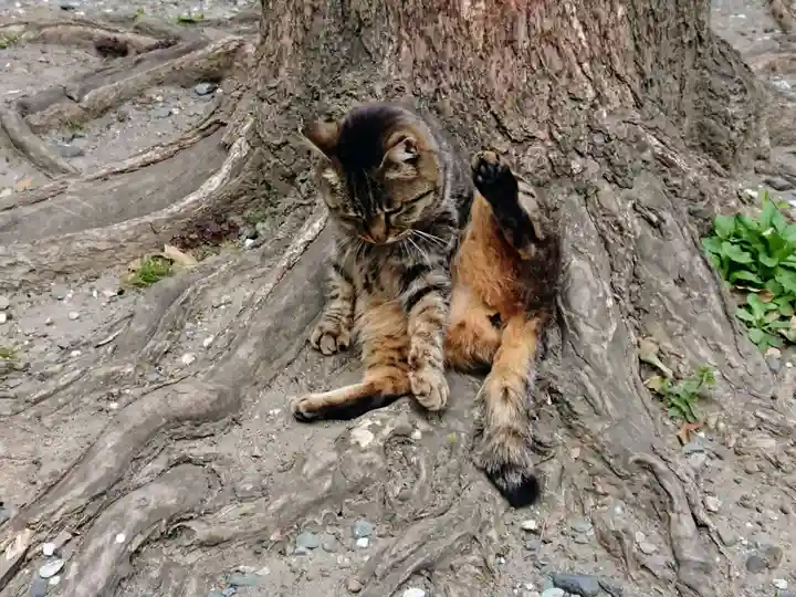 小野照崎神社の動物
