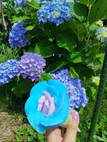 雲昌寺(秋田県)