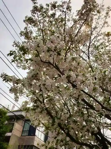 麻布氷川神社(東京都)