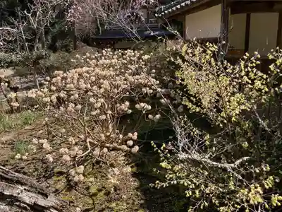 浄智寺(神奈川県)