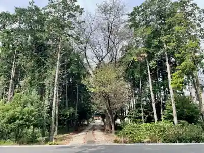 関間神明神社(埼玉県)