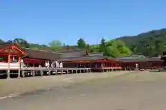 厳島神社(広島県)