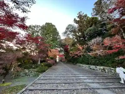 光明寺（粟生光明寺）(京都府)