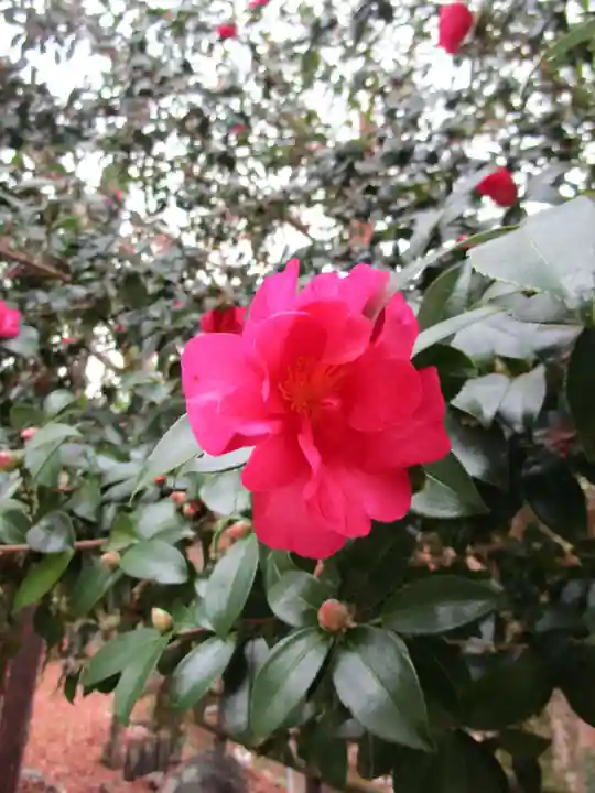 談山神社(奈良県)
