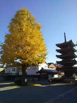 光徳院のその他建物