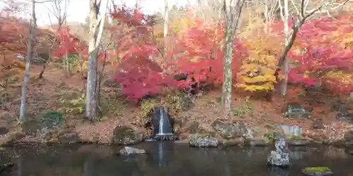 青龍山 吉祥寺の庭園