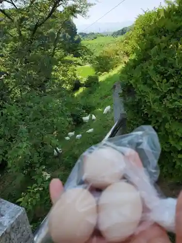高屋敷稲荷神社(福島県)