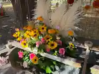 彌彦神社 (伊夜日子神社)の手水舎