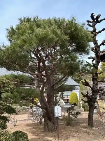 興善寺の{uncategorized: "未分類", other: "その他", undefined: "問題あり", building: "その他建物", grave: "お墓", sacred_gate: "鳥居", guardian: "狛犬", statue: "像", buddha: "仏像", history: "歴史", nature: "自然", garden: "庭園", animal: "動物", pagoda: "塔", temizu: "手水舎", mountain_gate: "山門・神門", sanctuary: "本殿・本堂", subordinate: "末社・摂社", art: "芸術", scenery: "景色", jizo: "地蔵", ema: "絵馬", goshuin: "御朱印", omikuji: "おみくじ", items: "授与品その他", amulet: "お守り", goshuincho: "御朱印帳", eats: "食事", festival: "お祭り", votive_dance: "神楽", shichigosan: "七五三参", wedding: "結婚式", experience: "体験その他", initially: "初詣", around: "周辺", anti_infection: "感染症対策"}