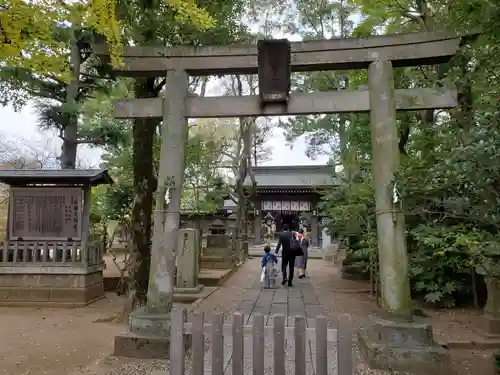 白幡天神社の鳥居