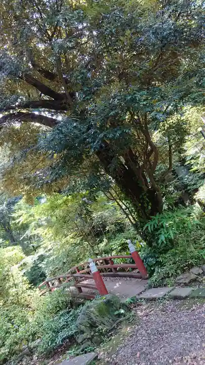 赤坂氷川神社のその他建物