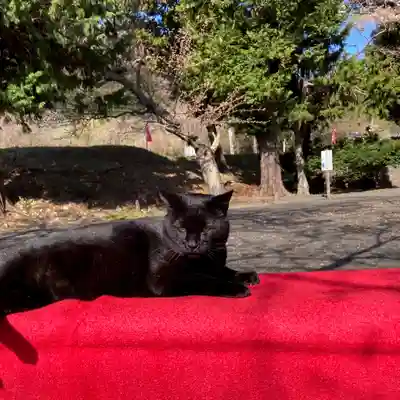 高司神社〜むすびの神の鎮まる社〜(福島県)