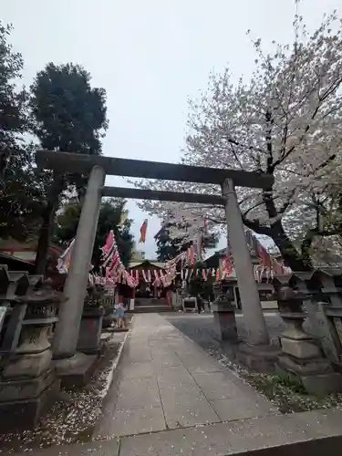 くまくま神社(導きの社 熊野町熊野神社)(東京都)