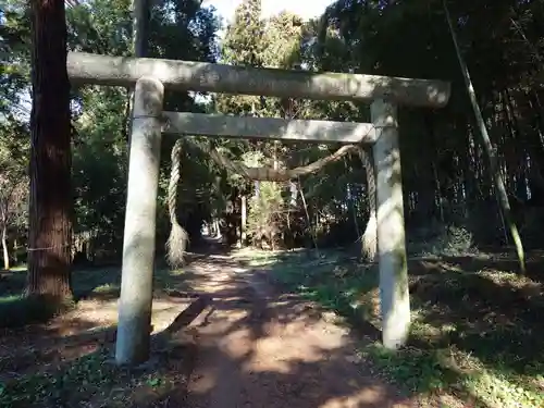 中村八幡宮(栃木県)