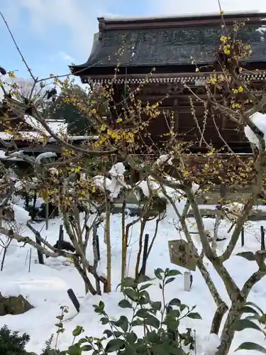 沙沙貴神社(滋賀県)