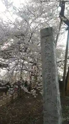 東光寺の自然