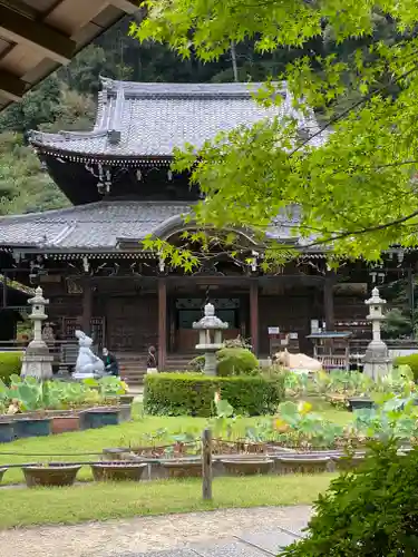 三室戸寺の本殿