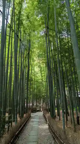 報国寺(神奈川県)