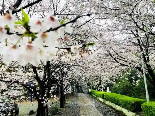 豊葦原神社の自然