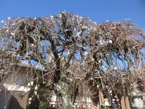 大聖院(千葉県)