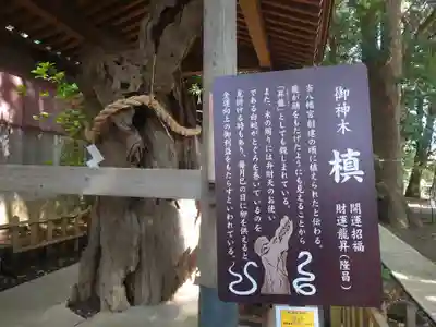 鶴嶺八幡宮(神奈川県)