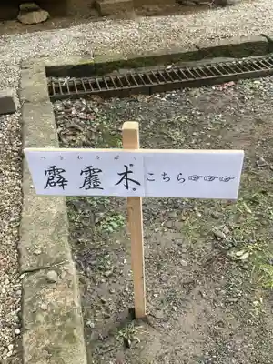 蚊里田八幡宮(長野県)