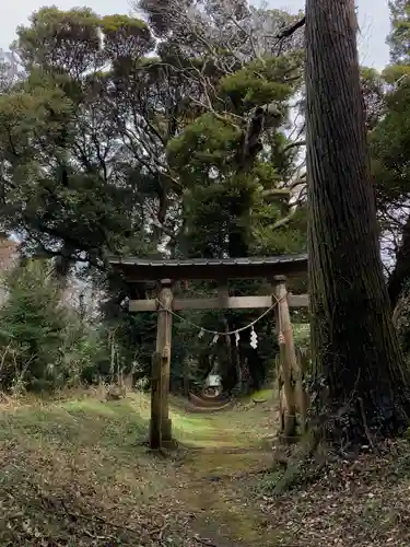 小鷹神社の鳥居