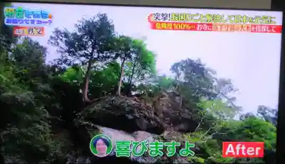 観音院(埼玉県)