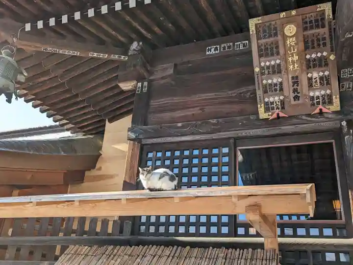 櫻山神社(岩手県)