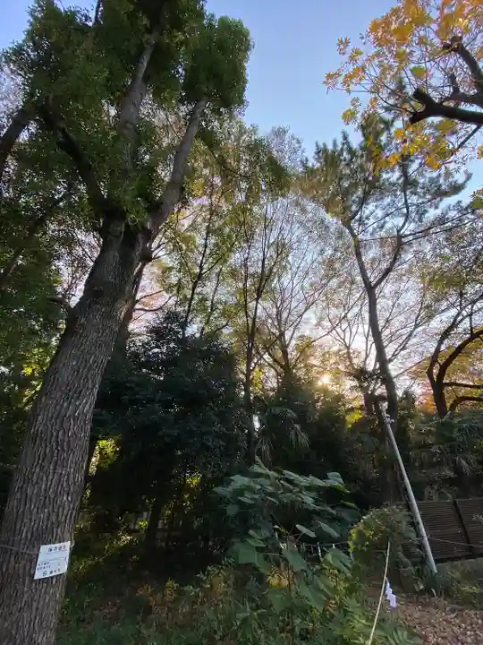 布多天神社(東京都)