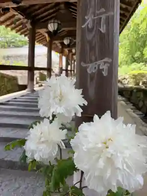 長谷寺の{uncategorized: "未分類", other: "その他", undefined: "問題あり", building: "その他建物", grave: "お墓", sacred_gate: "鳥居", guardian: "狛犬", statue: "像", buddha: "仏像", history: "歴史", nature: "自然", garden: "庭園", animal: "動物", pagoda: "塔", temizu: "手水舎", mountain_gate: "山門・神門", sanctuary: "本殿・本堂", subordinate: "末社・摂社", art: "芸術", scenery: "景色", jizo: "地蔵", ema: "絵馬", goshuin: "御朱印", omikuji: "おみくじ", items: "授与品その他", amulet: "お守り", goshuincho: "御朱印帳", eats: "食事", festival: "お祭り", votive_dance: "神楽", shichigosan: "七五三参", wedding: "結婚式", experience: "体験その他", initially: "初詣", around: "周辺", anti_infection: "感染症対策"}
