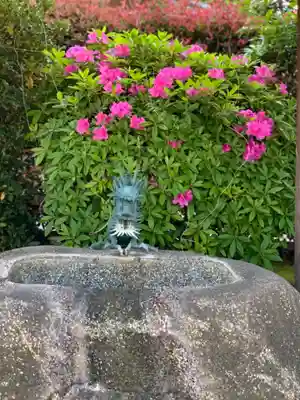 明王院の手水舎