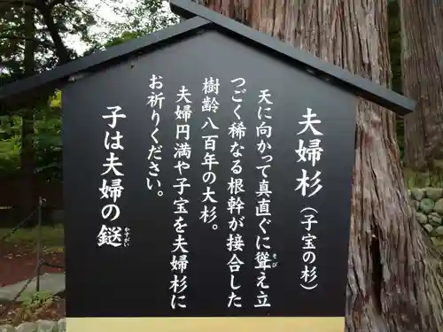 日枝神社の歴史