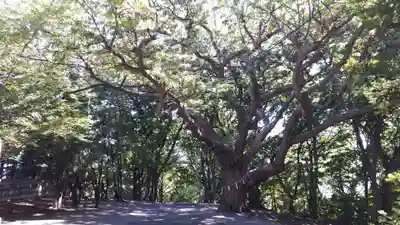 相馬神社(北海道)