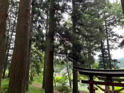 大宮温泉神社(栃木県)
