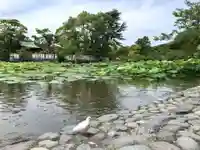 旗上弁財天社の動物