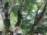 地蔵院の山門・神門