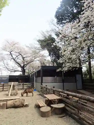 了源寺(神奈川県)