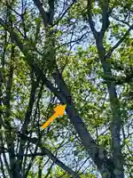 砂川神社(北海道)