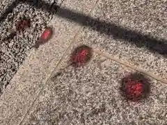 滑川神社 - 仕事と子どもの守り神の景色