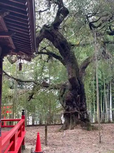 小川諏訪神社の庭園