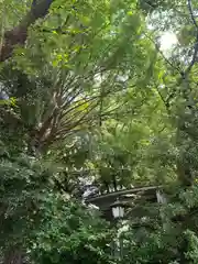 靖國神社(東京都)