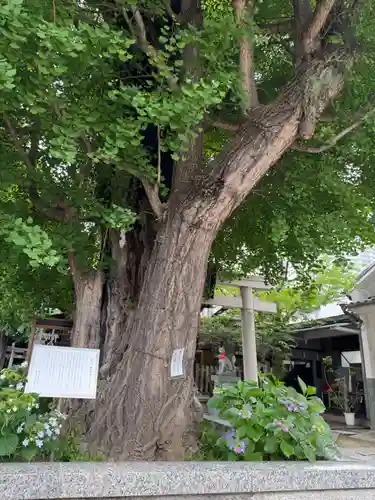 飛木稲荷神社(東京都)